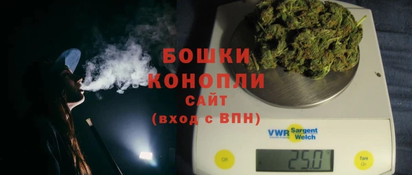 сатива Гусиноозёрск