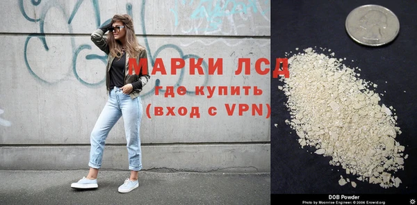 стаф Гусев