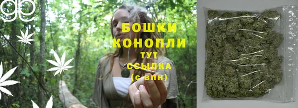 стаф Гусев