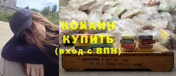 стаф Гусев