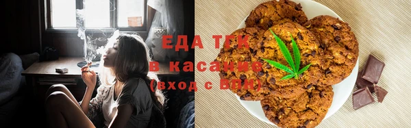 PSILOCYBIN Вяземский