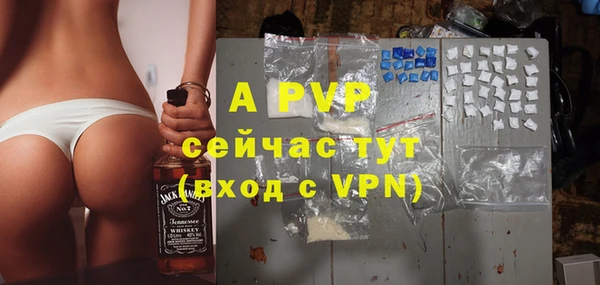 стаф Гусев