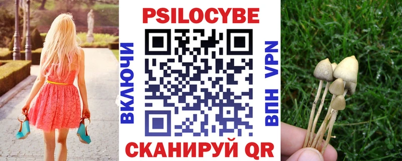 где купить наркотик  Чулым  Псилоцибиновые грибы Cubensis 
