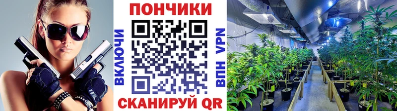 Бошки Шишки индика  наркота  Чулым 